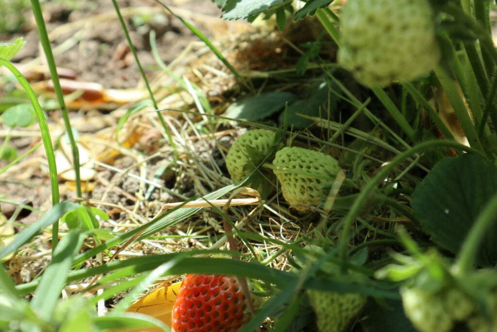 retraite de Permaculture en bretagne