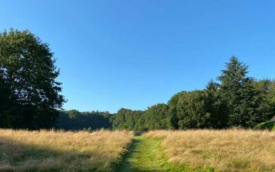 Retraite en Forêt en Bretagne : Bain de Nature et Sylvothérapie