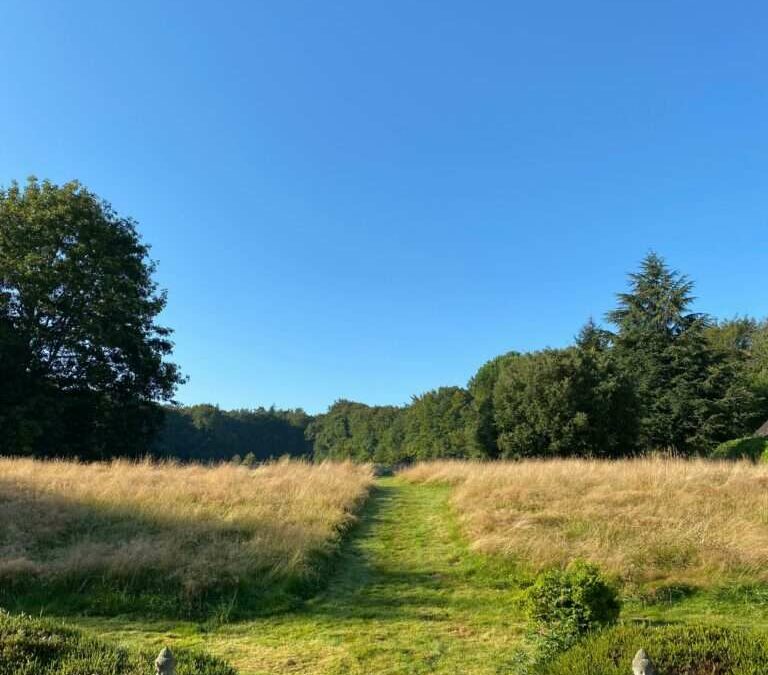 Retraite en Forêt en Bretagne : Bain de Nature et Sylvothérapie