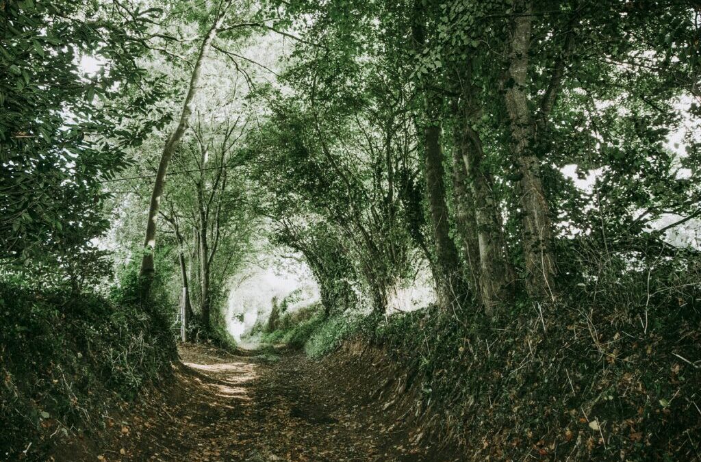 Retraites de déconnexion en Bretagne : ralentir pour se reconnecter à l’essentiel