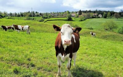 Retraite jeûne et randonnée en Bretagne : purifier corps et esprit