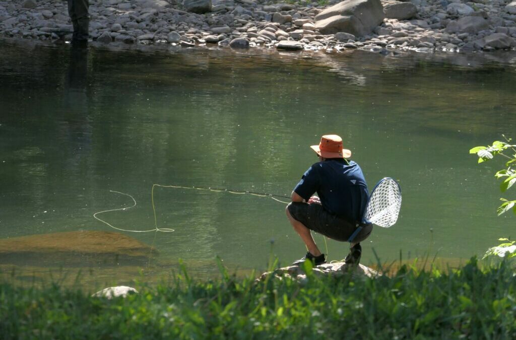 Pêche à la Mouche en Bretagne : Rivières, Techniques et Spots Préservés