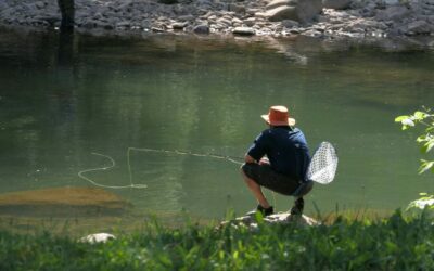 Pêche à la Mouche en Bretagne : Rivières, Techniques et Spots Préservés